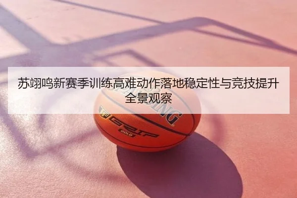 苏翊鸣新赛季训练高难动作落地稳定性与竞技提升全景观察